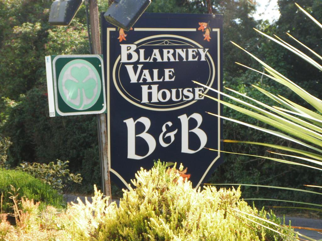 Blarney Vale B&B Экстерьер фото